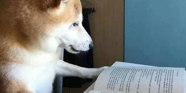 Someone sent pets to school, what do you think?