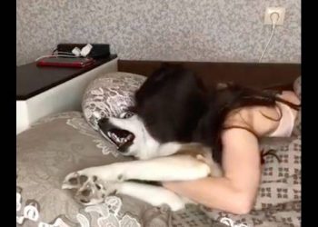 The hostess secretly kissed the husky, resisted and shouted helplessly: It’s not clean!