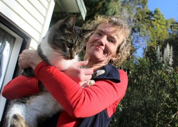 Pat the cat in great condition despite being missing for eight months