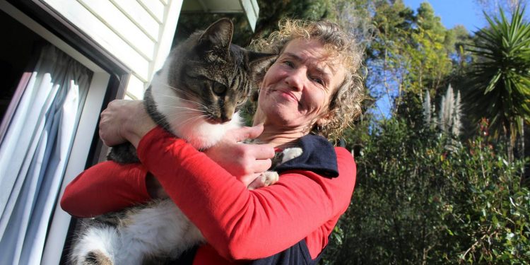 Pat the cat in great condition despite being missing for eight months