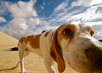 Top 20 funny nicknames for friends to lighten up the mood