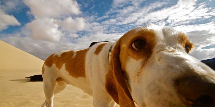 Top 20 funny nicknames for friends to lighten up the mood