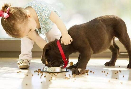 Which pets are suitable for children?