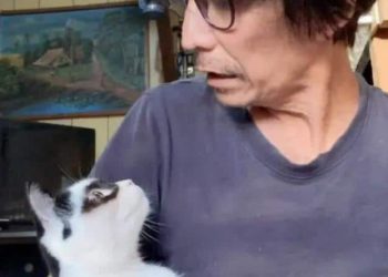 This ‘Zorro’ cat is making his mark as a viral sensation on TikTok