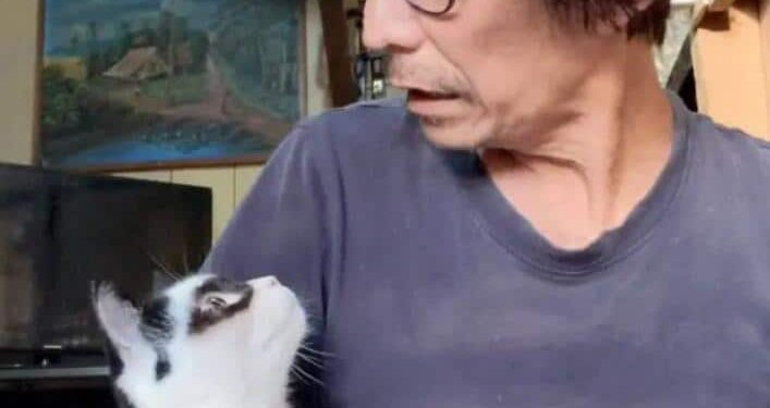 This ‘Zorro’ cat is making his mark as a viral sensation on TikTok