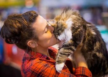 Pet Owners Reveal Biggest ‘Pet Peeves’ Around Owning Furry Friend