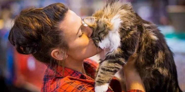 Pet Owners Reveal Biggest ‘Pet Peeves’ Around Owning Furry Friend