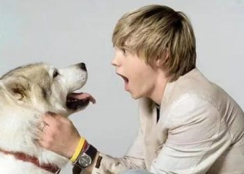 Can Dog Language Translator Really Translate What Dogs Say?