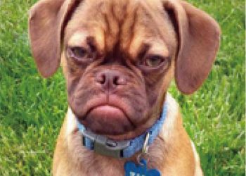 Conquer the world with a boring expression!