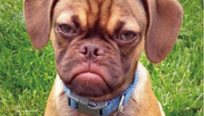 Conquer the world with a boring expression!