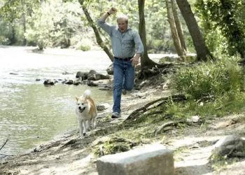 dog socializing with me