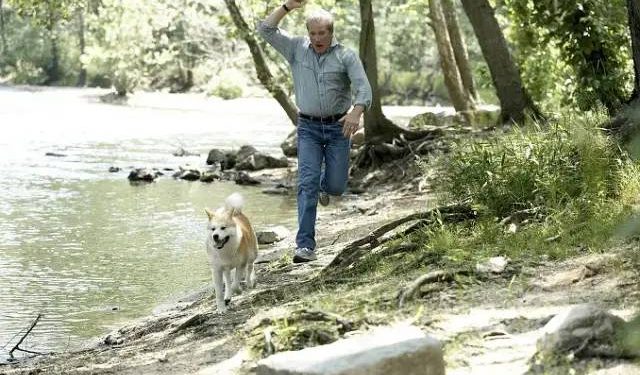 dog socializing with me