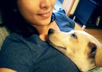 At what moment did you think this dog was not raised in vain? Netizen: When it looks at me with this look…