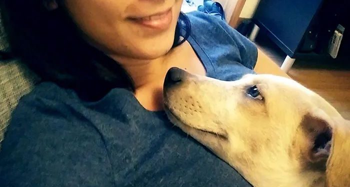 At what moment did you think this dog was not raised in vain? Netizen: When it looks at me with this look…