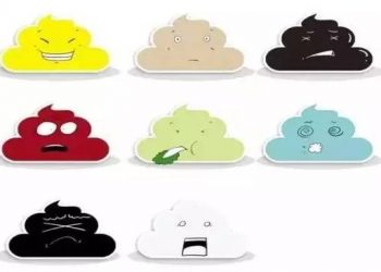 Dog poop full interpretation