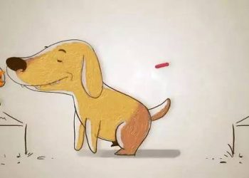 How to “see” the world with your nose