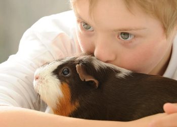 How pets give your kids a brain boost