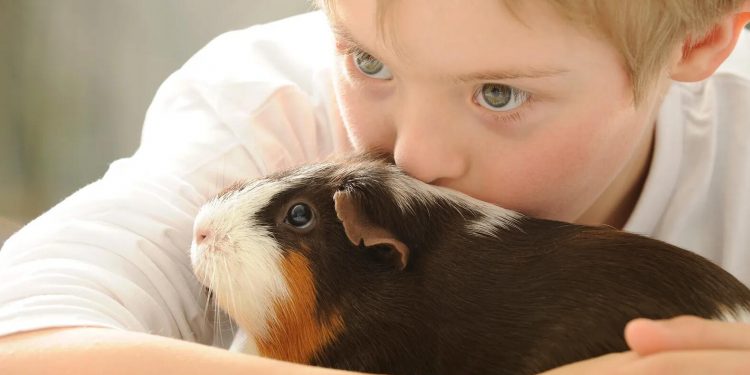 How pets give your kids a brain boost