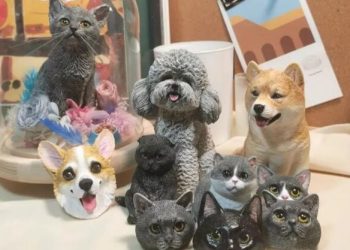 Top 10 Very Friendly Pets, Who Want?