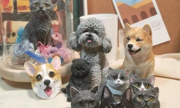 Top 10 Very Friendly Pets, Who Want?