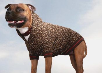 Luxury brands are eyeing your pets