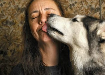 Why Do Dogs Lick You?