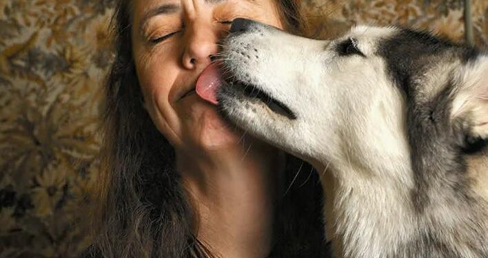 Why Do Dogs Lick You?