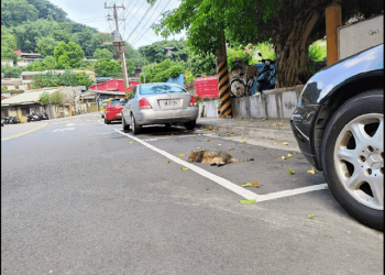 When the parking space was occupied by cats. . .