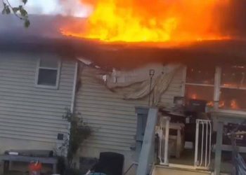 The dog was trapped in the burning house, and with the encouragement of kind people, he bravely escaped from the second-floor window