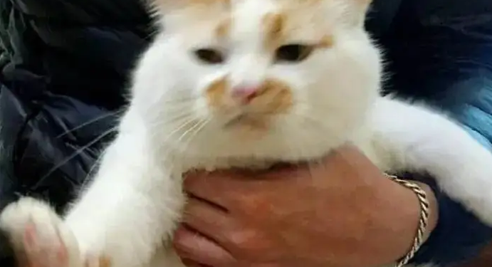 How can I stop the rabbit from slapping my lips with its tongue! ! !