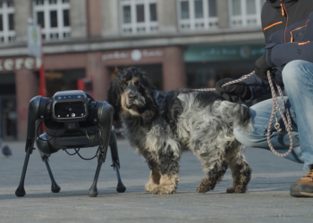 When a dog encounters a quadruped robot dog