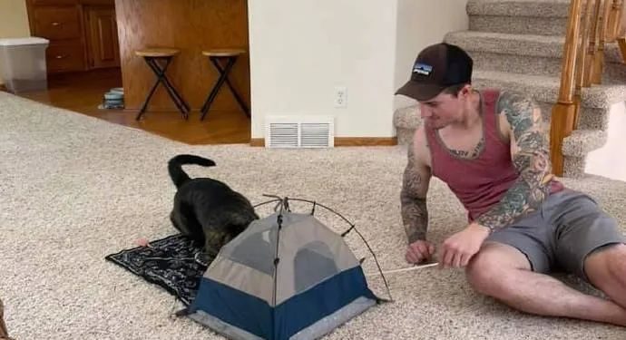 Bought a small tent for the cat, the cat likes it very much, and it was crushed in less than a second!