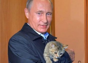 Cat: This man who fights against half the world belongs to me!