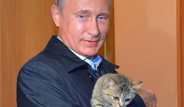 Cat: This man who fights against half the world belongs to me!