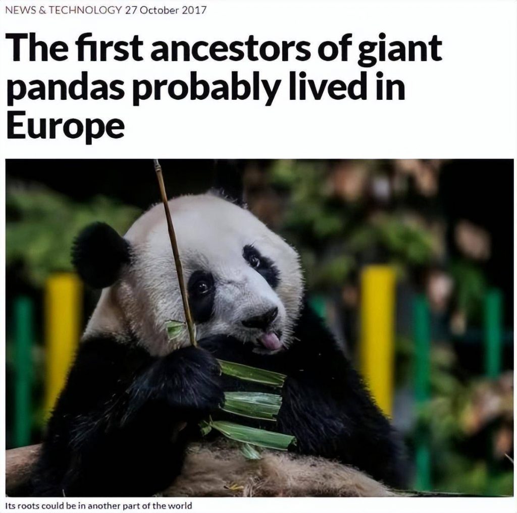 Did giant pandas originate in Europe? Panda fossils found millions of