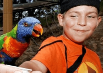 Parrots have lived with humans for a long time, and they have learned swear words