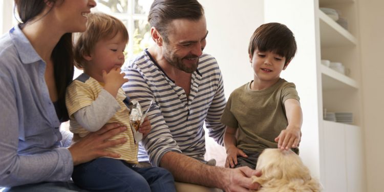 Are your kids ready for a pet?