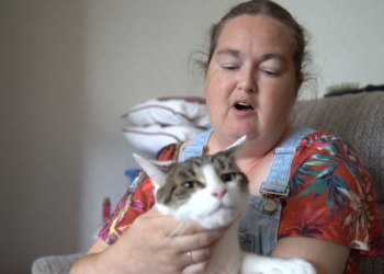 Hero cat saves owner’s life by pounding her paws on her chest during heart attack