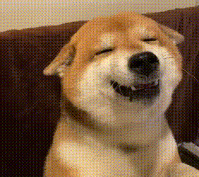 Your stress dog understands, you know it through smelling! British scholars do experimental arguments!