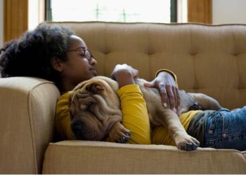 Stop Sleeping With Your Dog