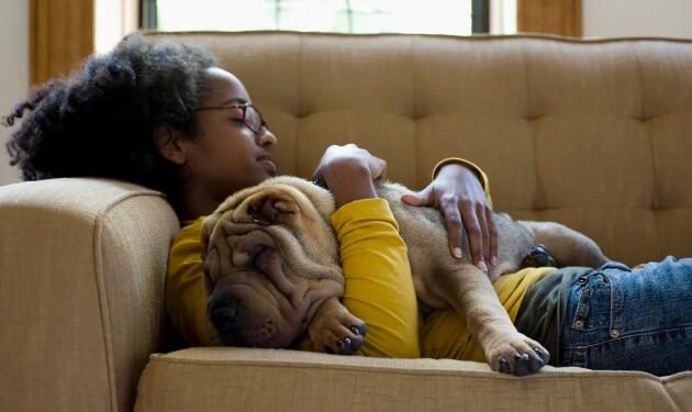 Stop Sleeping With Your Dog