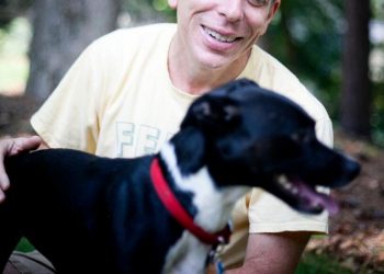 How do dogs see the world? Human researchers to decode visual cognition in dog brains