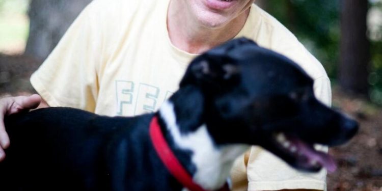 How do dogs see the world? Human researchers to decode visual cognition in dog brains