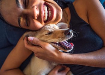 Dogs Can Cry Tears of Happiness, New Research Shows