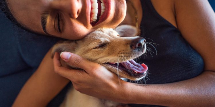 Dogs Can Cry Tears of Happiness, New Research Shows