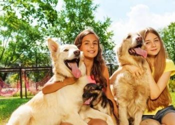 These 4 Changes When Your Dog Falls In Love With Someone!