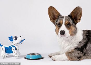Robot dogs could be taught to mimic real canine behaviours