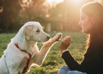 This Specific ‘Pet Parenting Style’ Seems to Make Dogs More Secure And Resilient