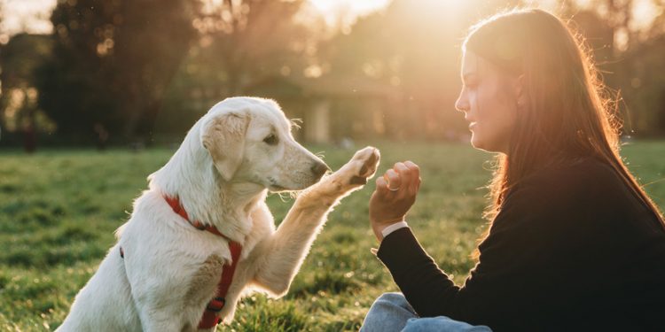 This Specific ‘Pet Parenting Style’ Seems to Make Dogs More Secure And Resilient