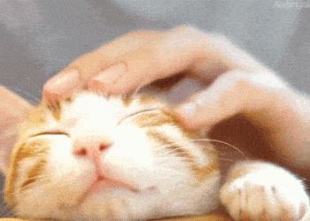 The purring of cats is still a mystery.